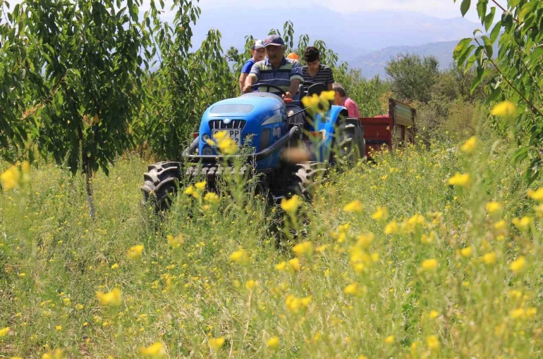 Traktörde "50 binler kulübü"ne 2 şehir daha katıldı 