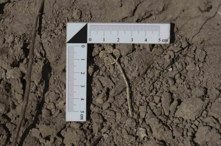 Troya’da 4 bin 500 yıllık altın broş ve ender yeşim taşı gün ışığına çıkarıldı 