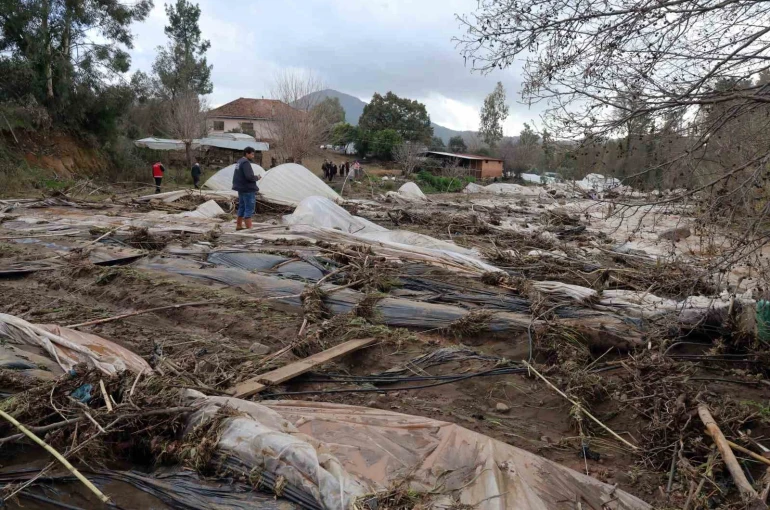 Tüm birikimlerini 1 saatte kaybettiler 