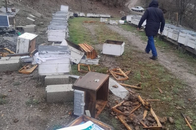 Tunceli’de ayı, 20 kovanı parçaladı 