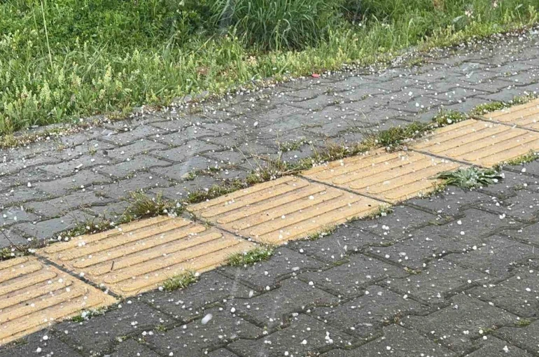 Tunceli’de gök gürültülü sağanak ve dolu yağışı etkili oldu 