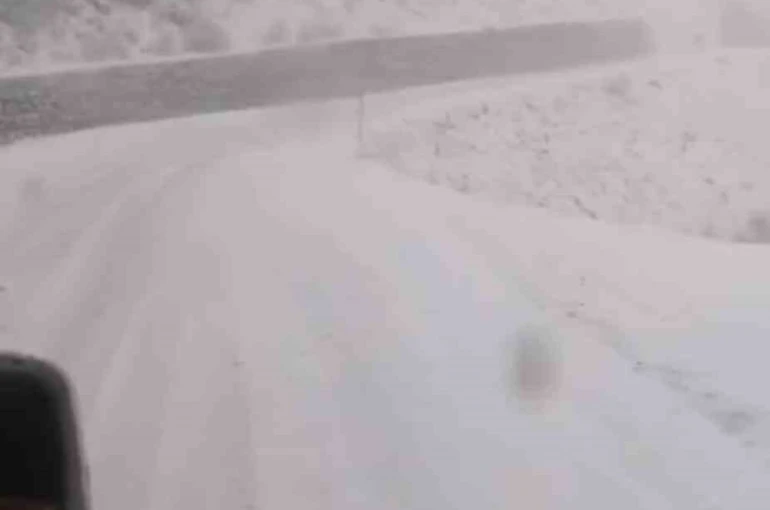 Tunceli’de, kar yağar yağmaz mücadele başladı 