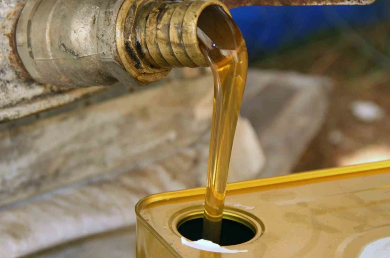 Türk çam balının dünya pazarındaki ekonomik payı arttırılacak 