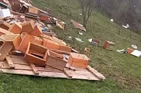 Türkeli’de fırtına arıcılığı vurdu: Onlarca kovan zarar gördü 