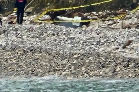 Türkeli’de kıyıya vuran şüpheli cisim korkuttu