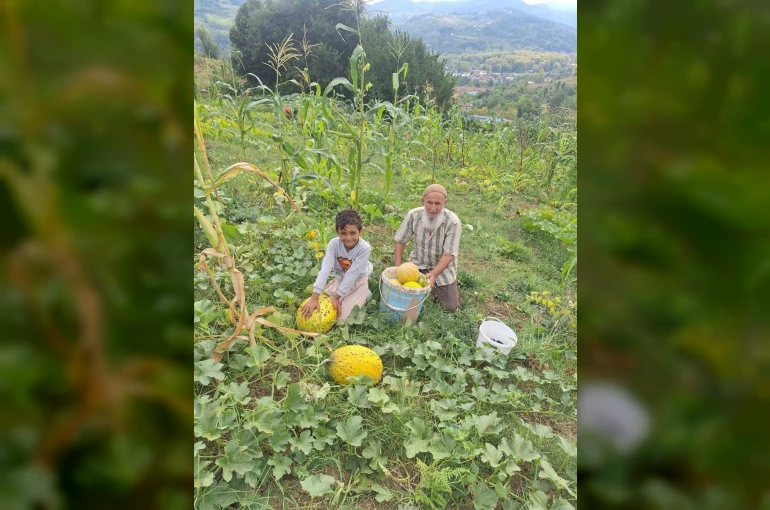 Türkeli’de küçük üretim, büyük ürün verdi