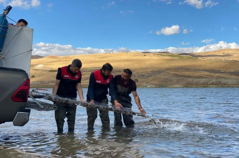 Türkiye nüfusu kadar balık deniz ve göllere bırakıldı 