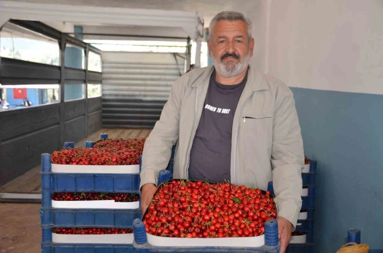 Türkiye’nin en erken kiraz yetişen ikinci ili olan Bilecik’te bu yıl rekolte yüzleri güldürdü 