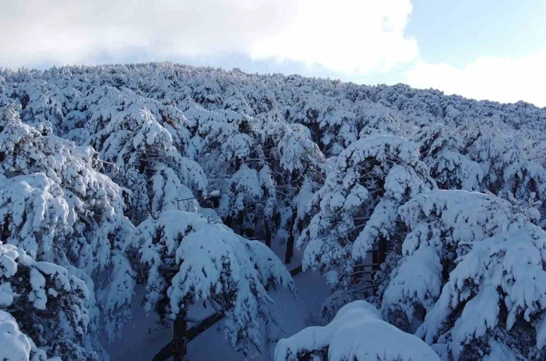 Türkiye’nin ilk Milli Parkı Çamlık’ta kar manzarası havadan görüntülendi 