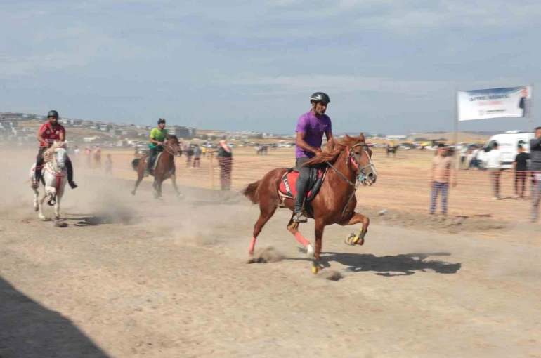 Türkiye’nin şampiyon atları Menemen’de yarıştı 