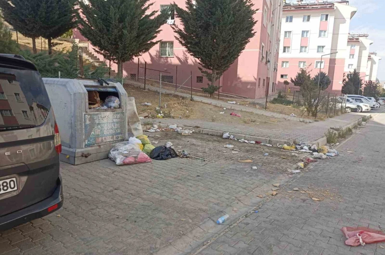 Tuşba’da yol ve çöp sorunu vatandaşları bıktırdı