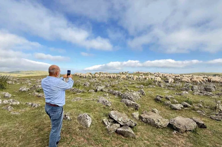 Tuz taşı olarak keçilere yalatılan kayaların, Türk beyliklerinin savaş alanındaki mezar taşları olduğu anlaşıldı 