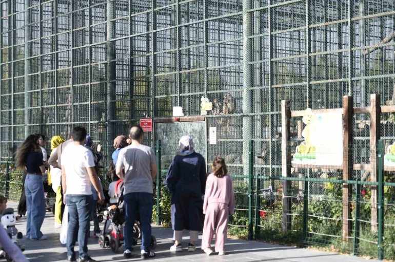 Ücretsiz olan hayvanat bahçesine ziyaretçi akını