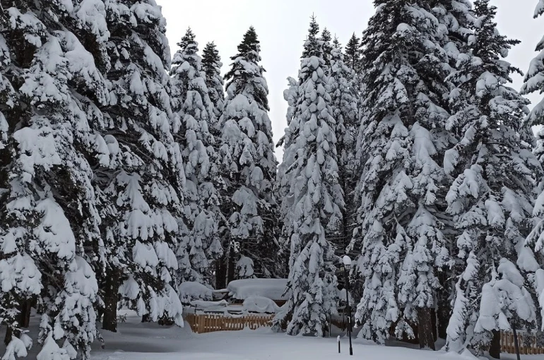 Uludağ’da kış geri dönüyor...Mayısta kar sürprizi yaşanacak 