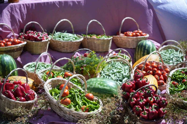 Uluslararası Çubuk Turşu ve Kültür Festivali başladı 