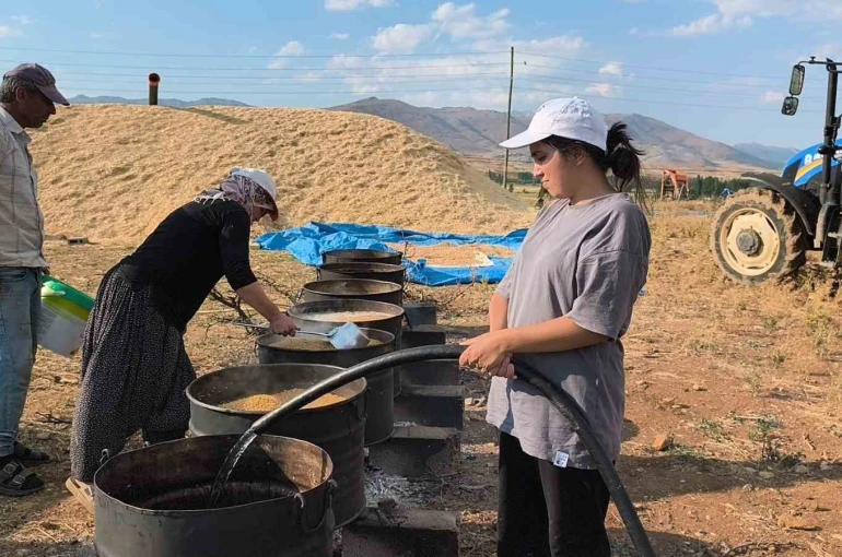 Üniversite öğrencileri yaz tatilinde tarlada ailelerine destek oluyor