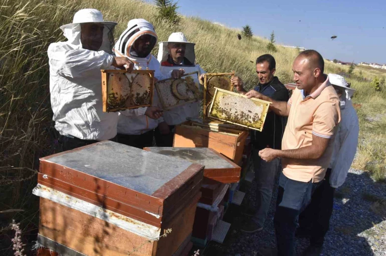 Üniversitenin arı işletmesinde bal hasadı başladı 