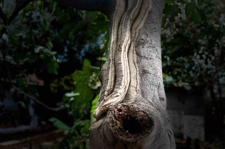 Unutulan sanatı emekliler hayata döndürüyor 