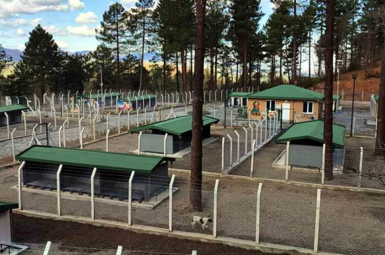 Ünye’de sahipsiz hayvanlar için örnek tesis tamamlanıyor 