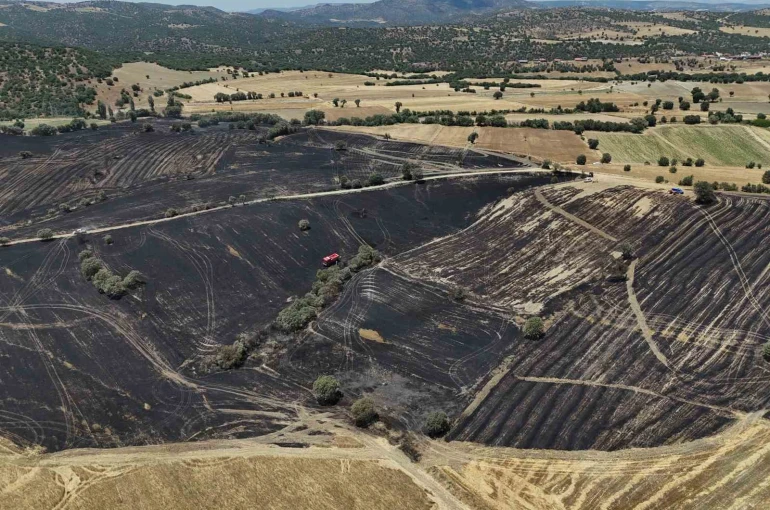 Uşak’ta çıkan yangında 300 dekar ekili alan zarar gördü 