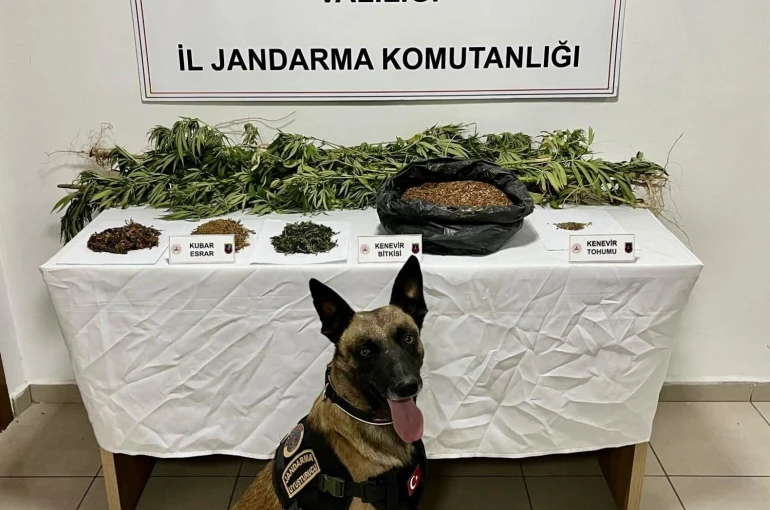 Uyuşturucu operasyonunda 1 kişi tutuklandı 