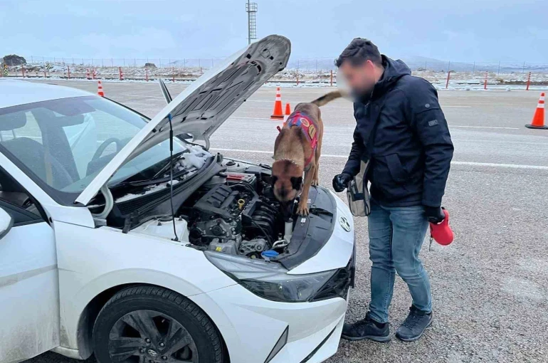 Uyuşturucu tacirleri, narkotik köpeğinden kaçamadı