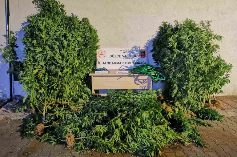 Uyuşturucudan 6 kişi tutuklandı, 44 şahıs hakkında işlem yapıldı 