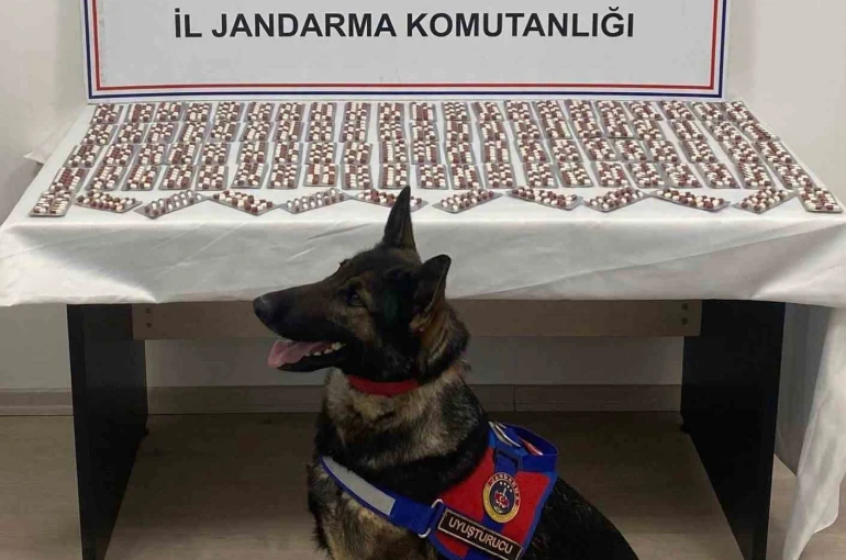 Uyuşturucuyla yakalanan şahıs utuklandı