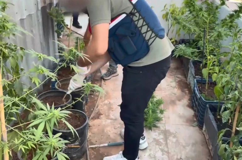 Uyuşturucuyu saksılara ekip evinin çevresine yerleştirmiş 