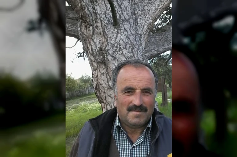 Üzerine ağaç devrilen vatandaş hayatını kaybetti