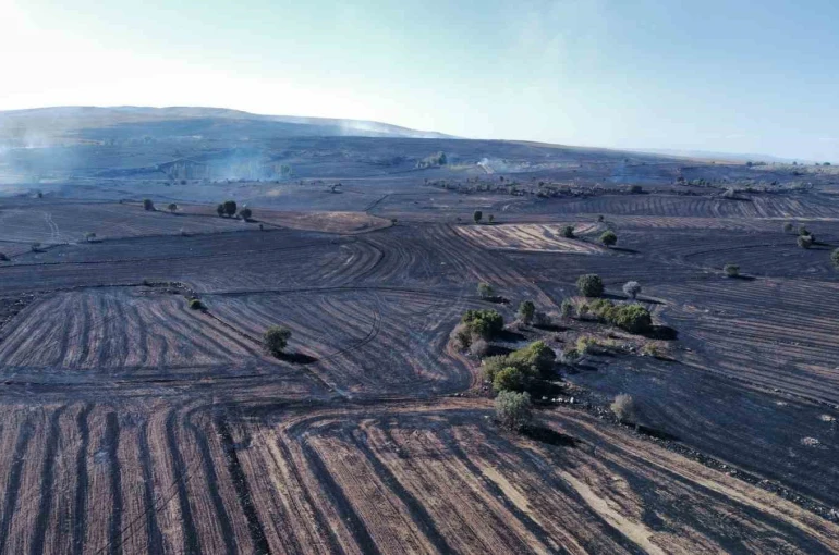 Uzmanı uyardı: "Orman yangınlarına karşı topraktaki nem kapasitesini arttırmalıyız"