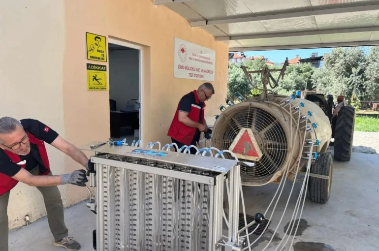 Üzümde kalıntı riskine karşı sıkı denetim 