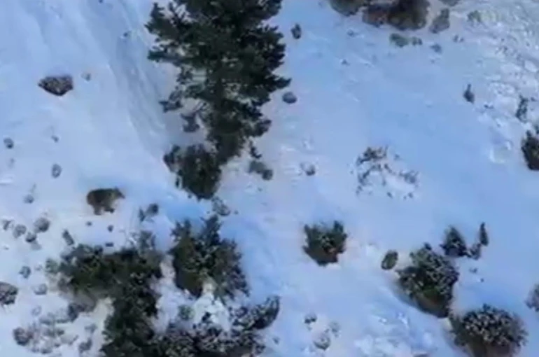 Uzundere’de buz tırmanışında ayı paniği 