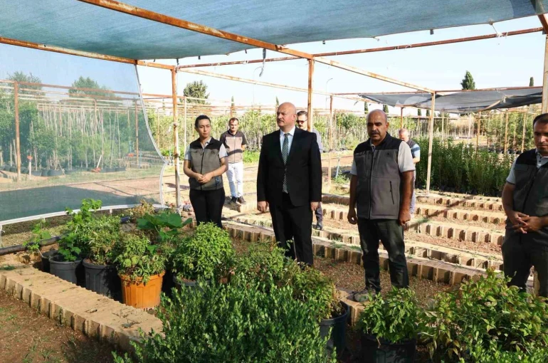 Vali Küçük, Orman Fidanlık Müdürlüğü’nde incelemelerde bulundu