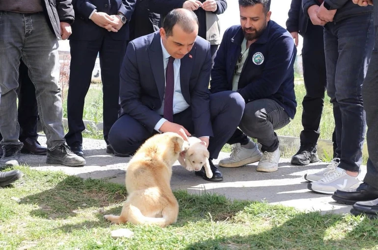 Vali Taşolar, Iğdır Geçici Hayvan Bakımevi’ni ziyaret etti 