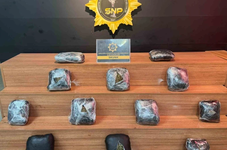 Valizden uyuşturucu madde çıktı 