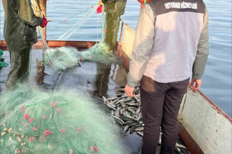 Van Gölü’nde balıkçılık denetimi yapıldı 