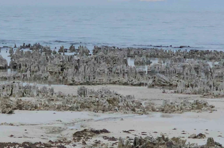 Van Gölü’nde kuraklık alarmı: Adilcevaz sahilinde mikrobiyalitler gün yüzüne çıktı 