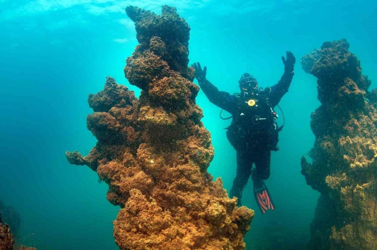 Van Gölü’nün mikrobiyalitleri Guinness için ön elemeyi geçti 