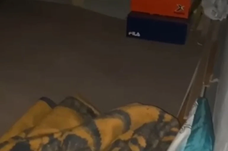 Van’da 12,5 yıl kesinleşmiş hapis cezası bulunan müdür gizli bölmede yakalandı