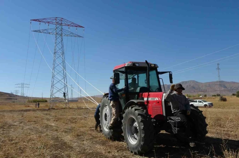 Van’da 31 kilometrelik enerji hattı tamamlandı: Çalışmalarda yabani kuşlar gözetildi 