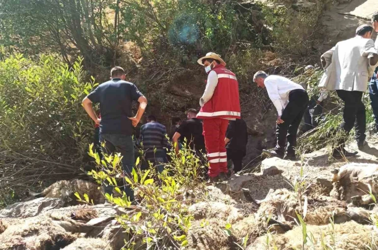 Van’da 334 koyun uçurumdan düşerek telef oldu 