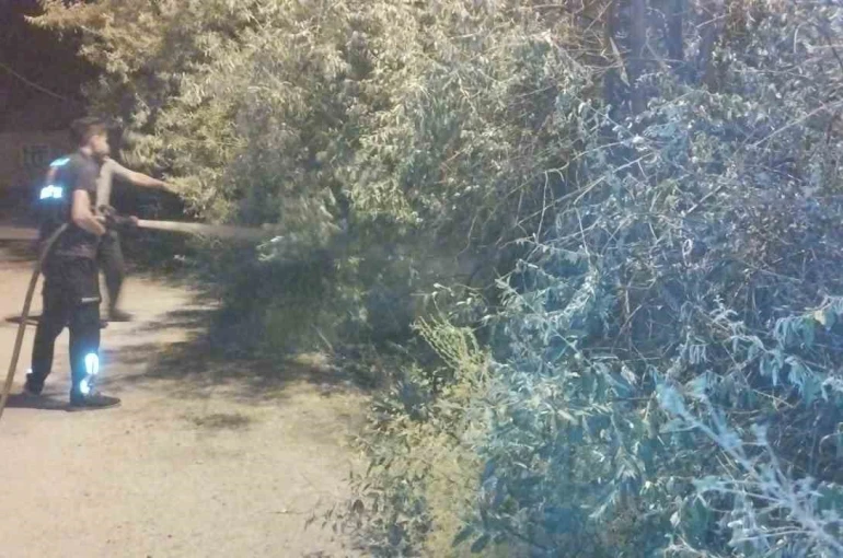 Van’da bahçe yangını korkuttu