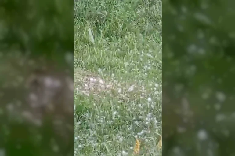 Van’da ceviz büyüklüğünde dolu yağışı 