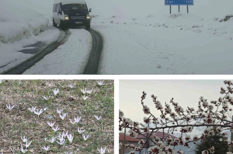 Van’da iki mevsim bir arada: Bir yanda bahar, diğer yanda kış 