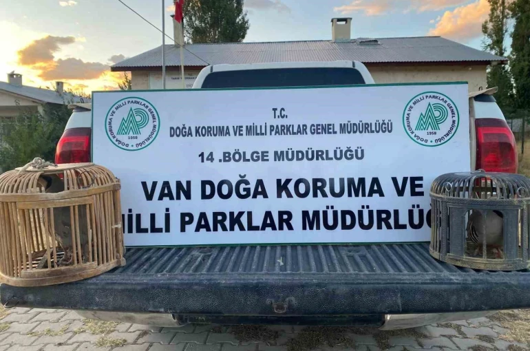 Van’da kafes avcılığı yapan şahsa 48 binlira cezai işlem uygulanacak 