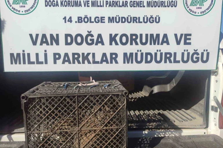 Van’da kafes avcılığı yapan şahsa 53 bin lira cezai işlem uygulanacak 