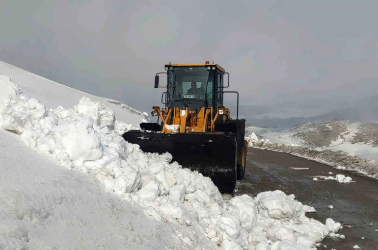 Van’da kar nedeniyle kapanan 67 yerleşim yerinin yolu açılıyor 