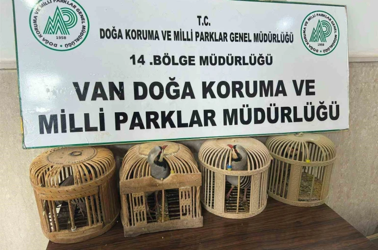 Van’da keklik avlayan şahsa 86 bin 278 lira para cezası 