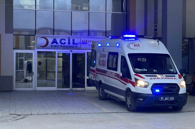 Van’da köpeklerin saldırdığı 5 yaşındaki çocuk hayatını kaybetti 